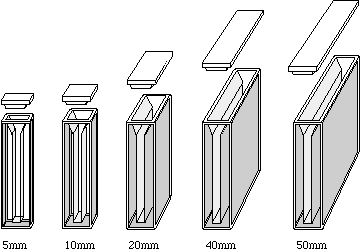 1224032619198-478394495