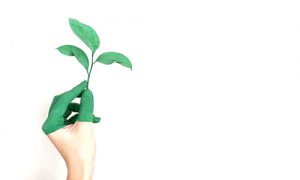 enviroment