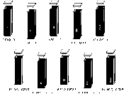 16F style Quartz Cuvette Sub-micro, Fluorescence
