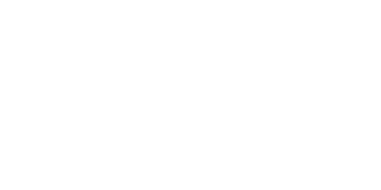 New-Torrent-2024